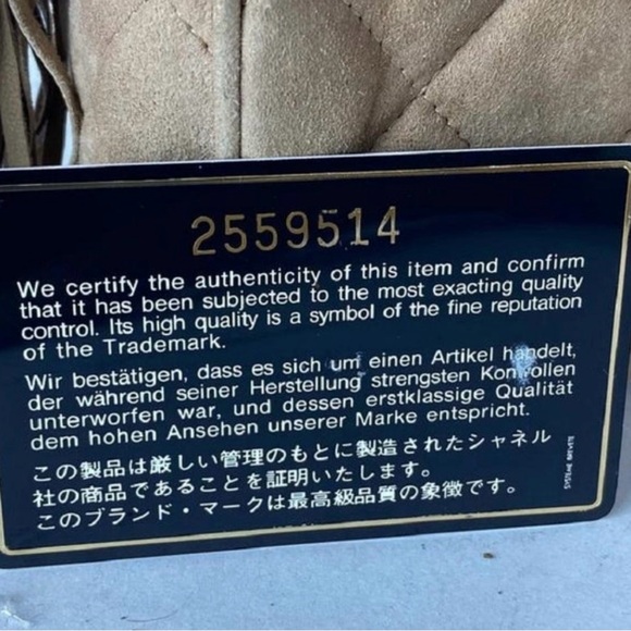 Chanel Quilted Crossbody Bag - Picture 6 of 11